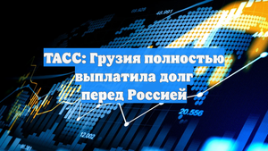 ТАСС: Грузия полностью выплатила долг перед Россией