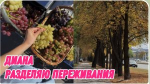 САМВЕЛ АДАМЯН, МИСС ВОНГ, ГОРОД ВПЕРВЫЕ ПОД ОБСТРЕЛАМ С РСЗО, РАЗДЕЛЯЮ СВОИ ПЕРЕЖИВАНИЯ..