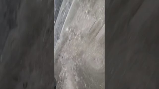 ЧЕРЕЕВОД МЕНЯЕТ МАСЛО ВООТ 😄