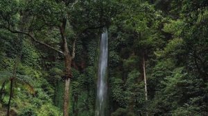 Красивое чтение Корана عبدالله الموسي