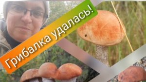 Тихая охота. За грибами в сентябре