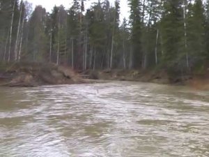 GatorTail GTR35 Красноярский край, р.Кимбирка (часть1)