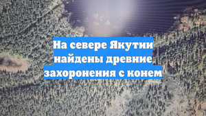 На севере Якутии найдены древние захоронения с конем