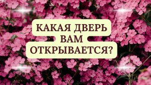 КАКАЯ ДВЕРЬ ВАМ ОТКРЫВАЕТСЯ?