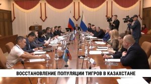 Восстановление популяции тигров в Казахстане