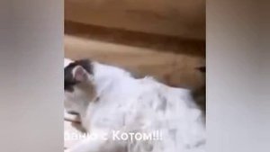 1000014879.mp4 
Достойное образование https://l.skbx.pro/JuY2Ku
