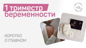 1 триместр беременности / ГЛАВНОЕ // вопрос-ответ
