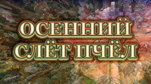 Осенний слёт пчел, и добили семью воровки.