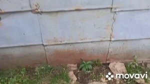 ангилина в школу как на праздник