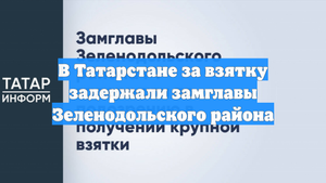 В Татарстане за взятку задержали замглавы Зеленодольского района