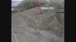 Донбасс. Работает «Рубикон»