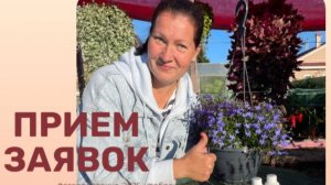 ЧТО ПОСЕЯТЬ НА ПОДОКОННИКЕ В ЗИМУ