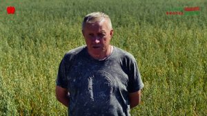 Беседа с Липатниковым: Наилучший способ как нарастить Органическое Вещество (Оздоровить) в ПОЧВЕ!