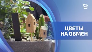 Обмен комнатными и уличными растениями устроили в музее-заповеднике «Горнозаводской Урал»