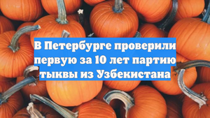В Петербурге проверили первую за 10 лет партию тыквы из Узбекистана