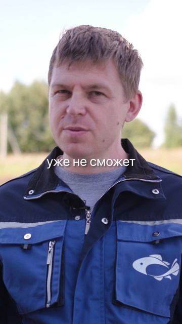 Поймать рыбу без удочки? Легко! Ловушка из бутылки с приманкой. Проверено веками. смотреть онлайн