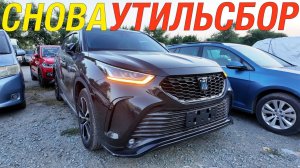 ЧТО ВЫГОДНО ЗАКАЗАТЬ С 1 НОЯБРЯ 2025?