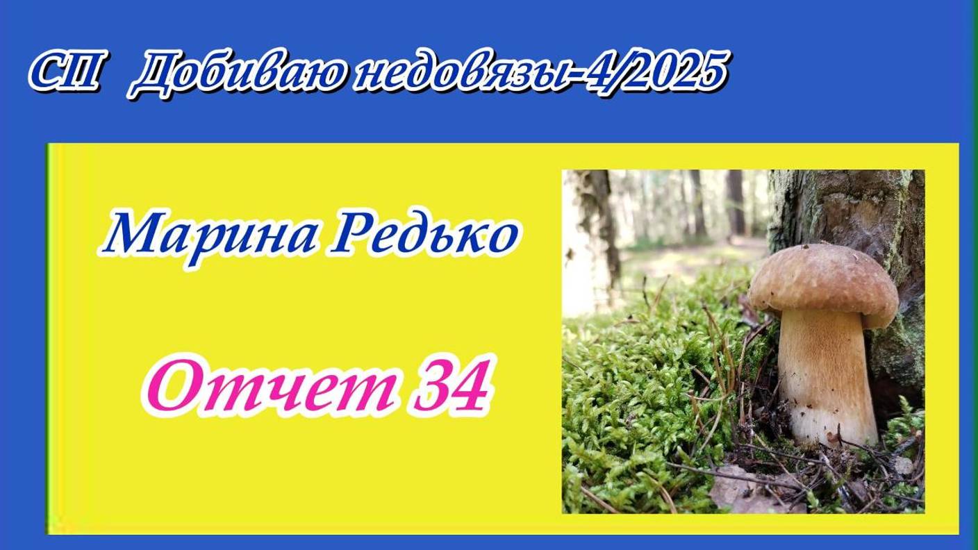 СП "Добиваю недовязы 4/2025" / Отчет 34 смотреть онлайн