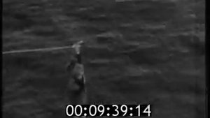 БПК "Сообразительный".