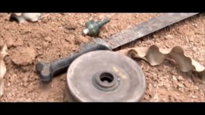 Лето и арбалеты