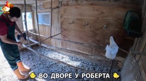 Содержание кур в домашних условиях и других птиц во дворе у Роберта 🐣🐤🦆🐔🪿🦃 (242)