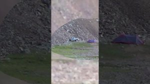 Поход 2025 Вертикальный фильм