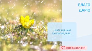 Благодарю за возможность менять свою жизнь к лучшему!