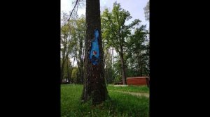 Путешествие в город Холм