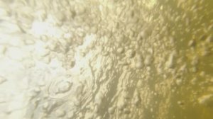 Водные забавы.