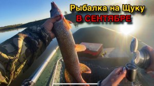 Осень,Горячий Чай,Щука на СПИННИНГ!!