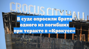 В суде опросили брата одного из погибших при теракте в «Крокусе»