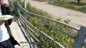 андрей яйцен готовит салатэк