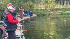 Форель