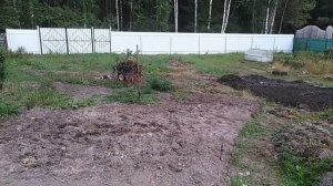 40-2022 Выкопала картошку, Оздоровление земли, Купила кровать, Сортировка укропа _ Elena Pero