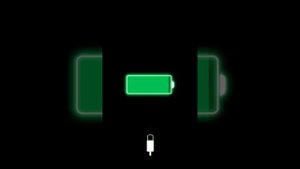 миньон ходит в оби (1 часть)