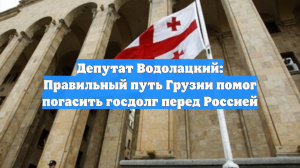 Депутат Водолацкий: Правильный путь Грузии помог погасить госдолг перед Россией