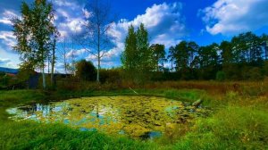 У реки🏞️окрестности п Черемша, Асбест, Средний Урал