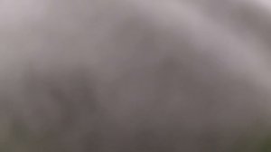 Звуки метро Асмр зеленая ветка