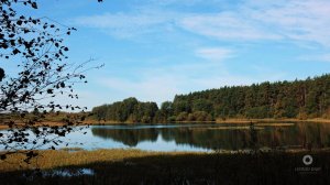 Золотой ковёр осени