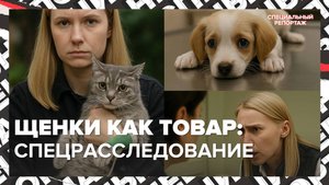 НАЖИВАЮТСЯ НА КОТЯТАХ | Щенки как товар: спецрасследование о зоомошенниках | Специальный репортаж