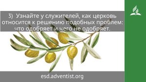 16 сентября 2025. Здравый смысл. Под сенью благодати | Адвентисты