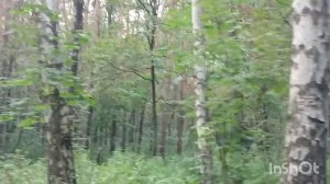 Алтуфьевский лесопарк.