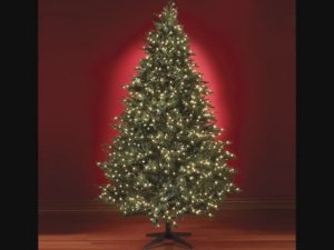 ՏԵՍԵՔ ՍԻՐՈւՆ ԾՆՆԴՅԱՆ ԾԱՌ