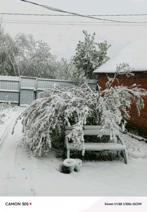Улица в коломне