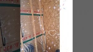 1000034787.mp4 (Собака наблюдает за устройством откосов у оконных проёмов в м/комнате дома А-фрейм)