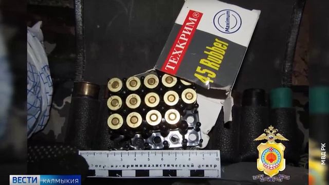 В Черноземельском районе полицейскими раскрыта кража оружия и денежных средств