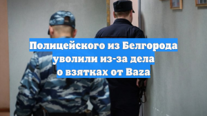 Полицейского из Белгорода уволили из-за дела о взятках от Baza
