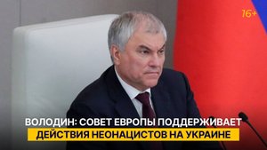 Володин: Совет Европы поддерживает действия неонацистов на Украине