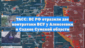 ТАСС: ВС РФ отразили две контратаки ВСУ у Алексеевки и Садков Сумской области