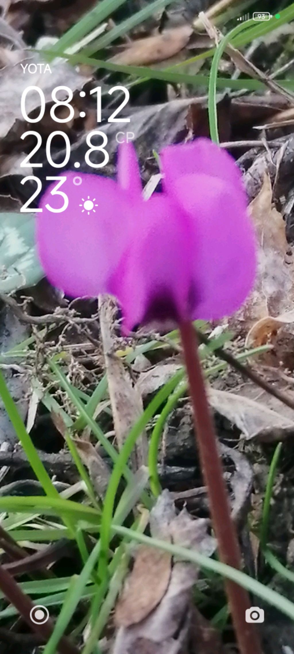 ПИОН смотреть онлайн